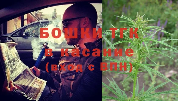 сатива Алексеевка
