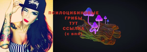 шишки Абдулино
