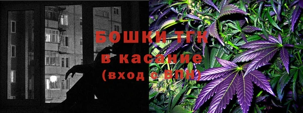сатива Алексеевка