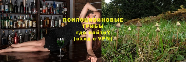 МДПВ Алзамай