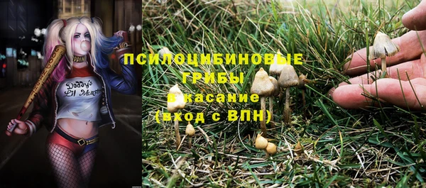 сатива Алексеевка